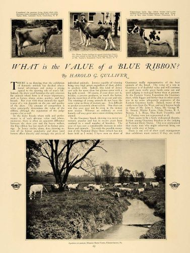 1923 article blue ribbon jersey guernsey dairy cows - original cl5 for sale