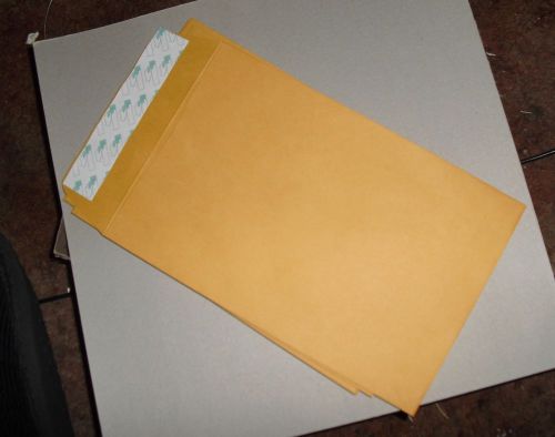 10 6x9 RediStrip mailing envelopes