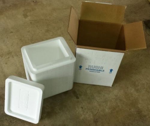 Insulated Shipping Box w/2 gel packs 8&#034;Lx6&#034;Wx12&#034; Deep inside Free PU 07748 zip