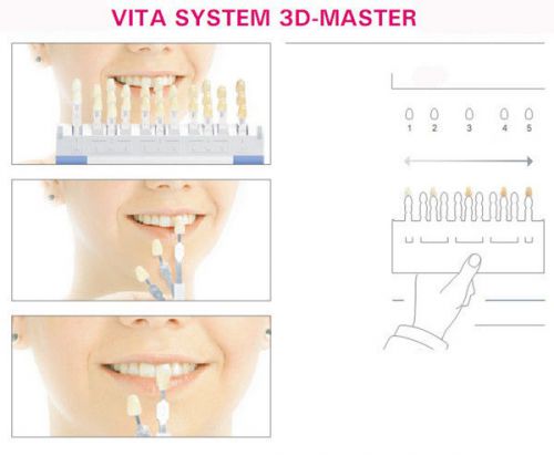 New 1 porcelain dental dental materials 3D VITA29 color shade