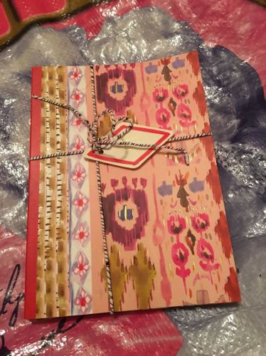 Anthropologie Set Of 2 Thin Notebooks