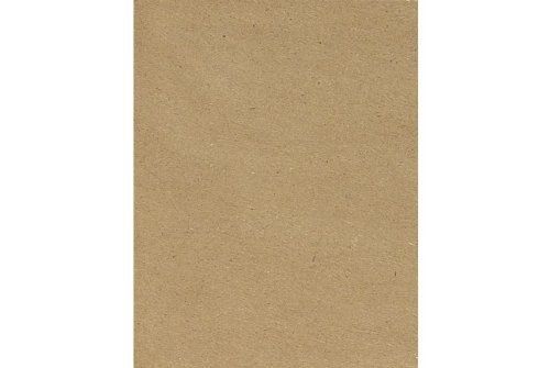 Envelopes.com 8 1/2 x 11 Cardstock - 100% Recycled - Grocery Bag Brown (50 Qty.)