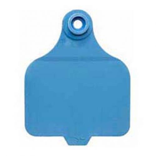 Fearing Duflex Large Blank Tags 25 Count Blue Bright, Fade-Resistant Color