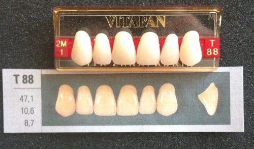 Vitapan Denture Teeth   T88   2M1
