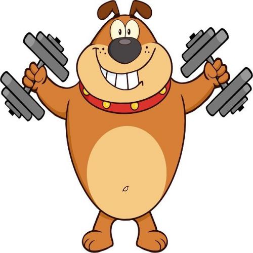 30 Custom Bulldog Workout Personalized Address Labels