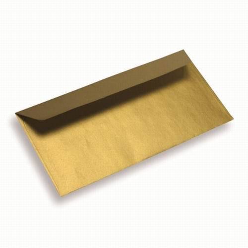 Gold Letter Mailing Envelopes 700 Count 9&#034;x5&#034;