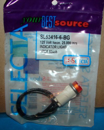 1 Selecta SL53416-6-BG Indicator Light AMBER 125V Neon Raised Lens 1/2&#034; Mount