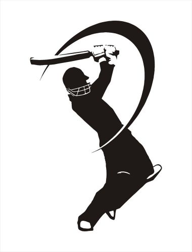 cricket shot car vinyl sticker decals truck window bumper decor  SG39