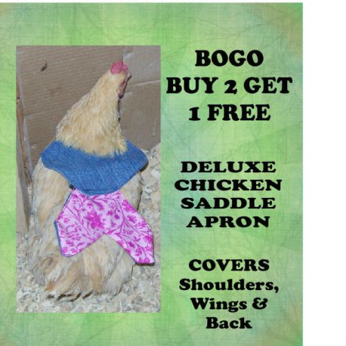SALE BOGO 2+1 FREE DELUXE Chicken Saddle Apron Hen CHICKEN HATCHING EGGS POULTRY