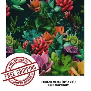 Hydrographic Film Water Transfer Film Hydro Dipping Dip 1M Succulence