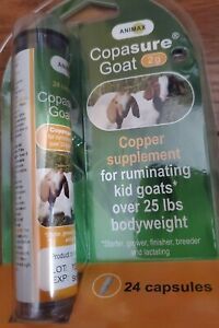 Animax Copasure Kid Goats Copper Supplement 2g 24 Capsules Exp 9/2024 NEW