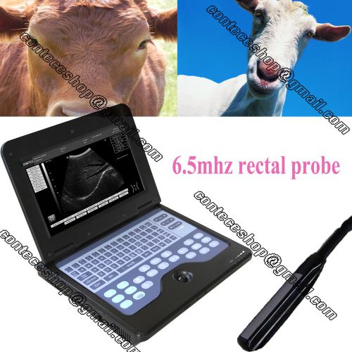 Veterinary B ultrasound Diagnostic Scanner, 6.5MHZ Rectal probe, CMS600P2