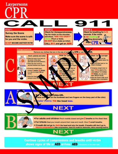 Cpr reference chart for layrescuers for sale