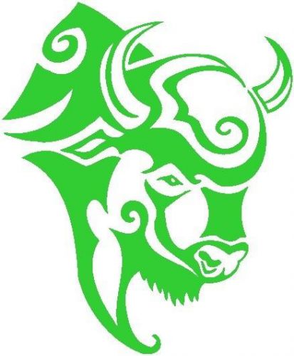 30 Custom Wild Green Buffalo Personalized Address Labels