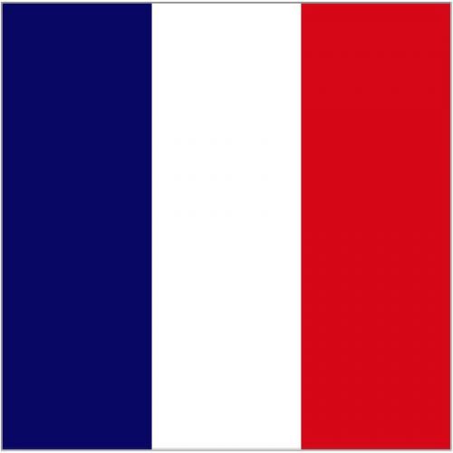 30 Custom France Flag Personalized Address Labels
