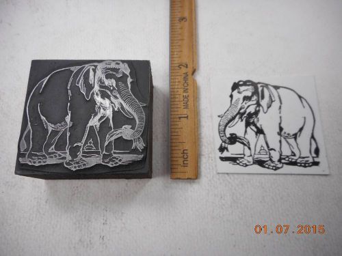 Letterpress Printing Printers Block, Elephant using Trunk to Eat