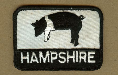 Vintage Hampshires Hog Patch, Hampshire Breed Sow, Boar, Pig Swine (B)