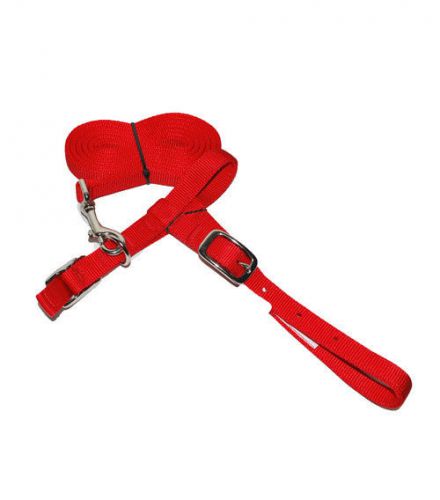 Red Nylon Sheep Halter with Lead