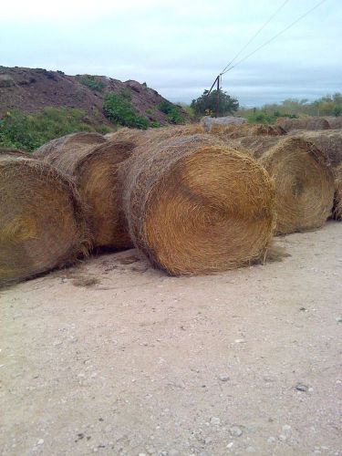 Baffle grass and grain cane hay
