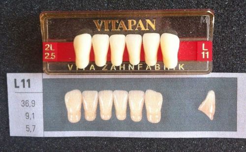 Vitapan Denture Teeth  L11     2L2.5