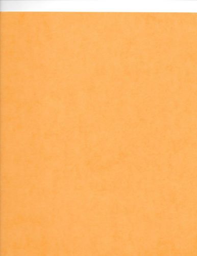 14 Gold/Orange flat top file folders 81/2 X 11