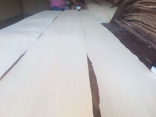 Wood Maple   Veneer  113x9,12,14,  total 3pcs RAW VENEER  1/46 N911.