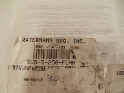 Ratermann Safety Valve SVB-D-250-FCHH