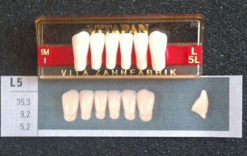 Vitapan Denture Teeth   L5L   1M1