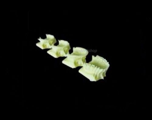 1*XINGXING Dental Teeth Model The Development Of Upper Jaw 5002-1 CE Original