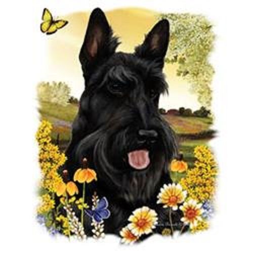 Scottish Terrier Dog Floral HEAT PRESS TRANSFER PRINT for Shirt Sweatshirt 907b