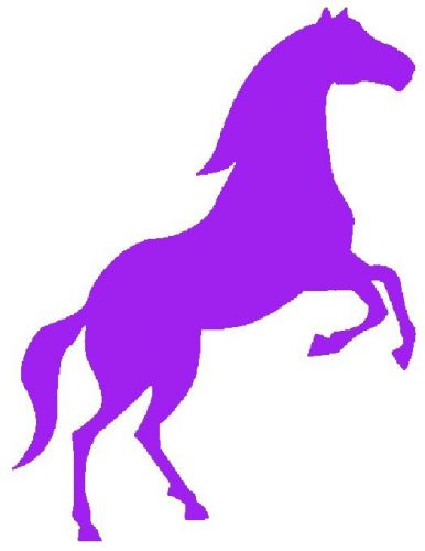 30 Custom Purple Bronco Personalized Address Labels