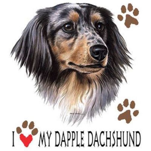 Love My Dapple Dachshund Dog HEAT PRESS TRANSFER for T Shirt Bag Sweatshirt 836b