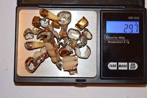 dental scrap 29.7 grams