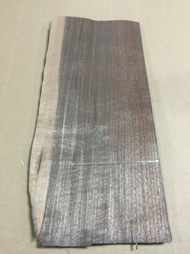 Wood veneer walnut 9x23 22pcs total raw veneer  &#034;exotic&#034;  wal7 12-19 for sale