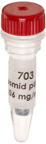 Edvotek 703 Plasmid pUC8, 10 micrograms