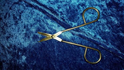 scissors with narrow nose forceps