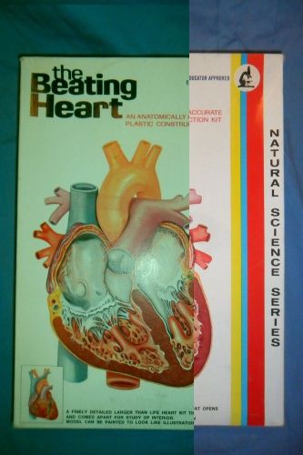 Vintage 1973 Lindberg The Beating Heart Plastic Model  Biology Kids