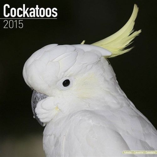 NEW 2015 Cockatoos Wall Calendar by Avonside- Free Priority Shipping!