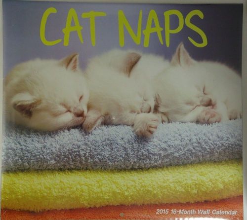 2015 Calendar Cat Naps 12&#034; X 11&#034; Cats &amp; Kittens Calendars ALWAYS QUICK SHIP QBR
