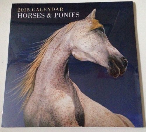 2015 CALENDAR HORSES &amp; PONIES.