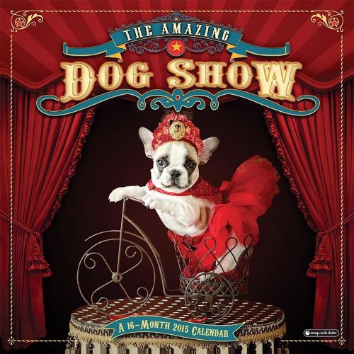 The Amazing Dog Show - 2015 Calendar - 12X12 - NEW 2015