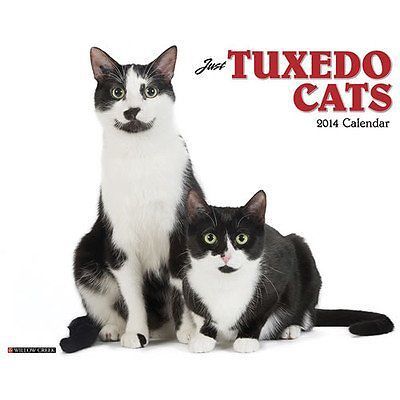 Tuxedo Cats 2014 Wall Calendar