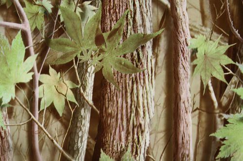 Hardwoods Green Leaf -  Hydrographics / Water transfer printing Film