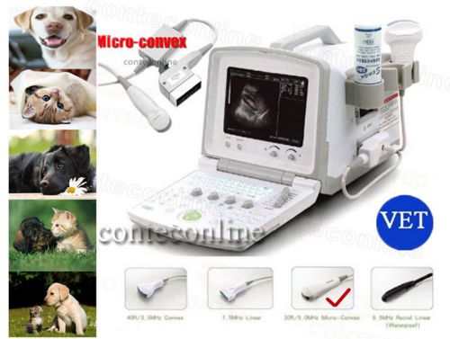 Veterinary portable ultrasound scanner with 5.0mhz micro-convex probe  cms600b-2 for sale