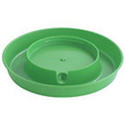 Screw On Base Poultry Chickens Roosters Hens Waterer Durable Gallon Lime Green