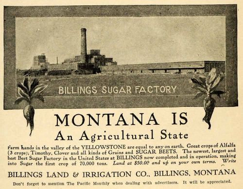 1908 Ad Billings Sugar Factory Land Irrigation Montana - ORIGINAL PM2