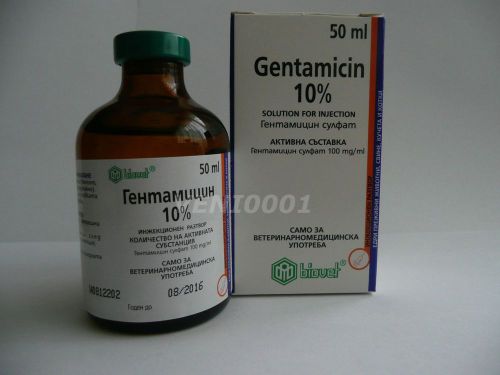 Gentamicin 10% solution for injection - ruminants, horses, pigs, chickens, dogs, for sale