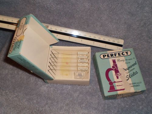 Vintage, Prepared Specimen Slides, Perfect, 1in x 3in, 12 Slides