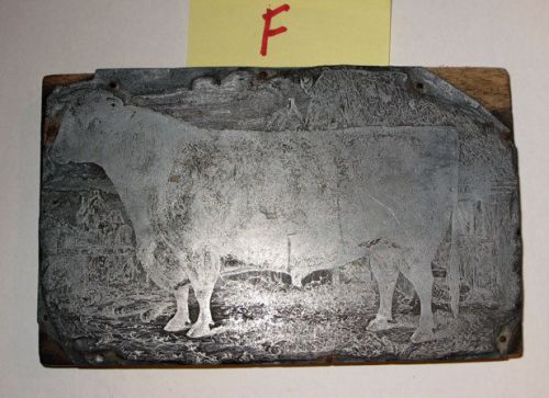 antique Vintage *PASTORAL COW &amp; Barn etc. * metal on Wood PRINTING PLATE