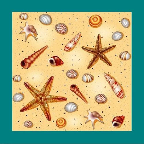 30 Custom Sea Shell Art Personalized Address Labels